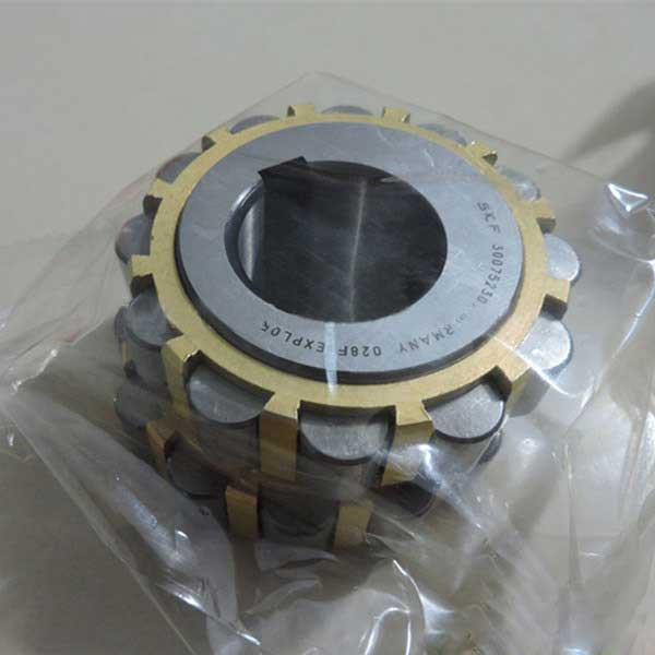 Cylindrical Roller Bearing 300752307